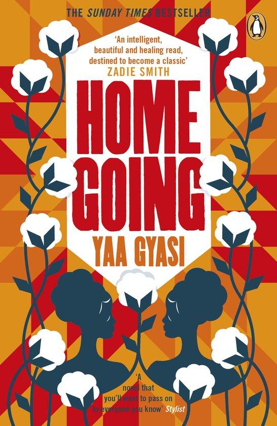 Productafbeelding: Homegoing